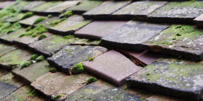 Remenham roof repair costs